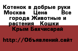 Котенок в добрые руки. Москва. › Цена ­ 5 - Все города Животные и растения » Кошки   . Крым,Бахчисарай